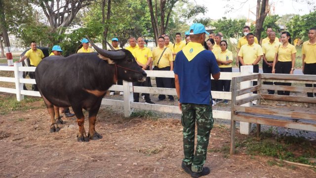 การศึกษาดูงานโรงเรียนจิตอาสา ๙๐๔ ของวิทยาลัยการทัพอากาศ กรมยุทธศึกษาทหารอากาศ