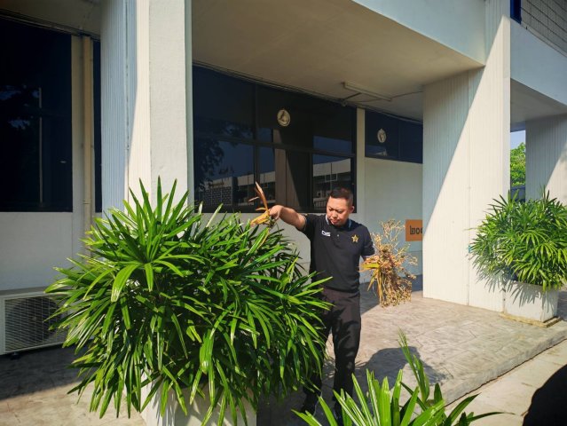 วิทยาลัยการทัพอากาศ กรมยุทธศึกษาทหารอากาศ จัดกิจกรรม Big cleaning day เนื่องในโอกาสวันที่ระลึกกองทัพอากาศ